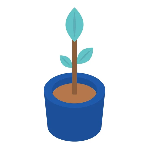 Icône de pot de fleur croissante, style isométrique — Image vectorielle