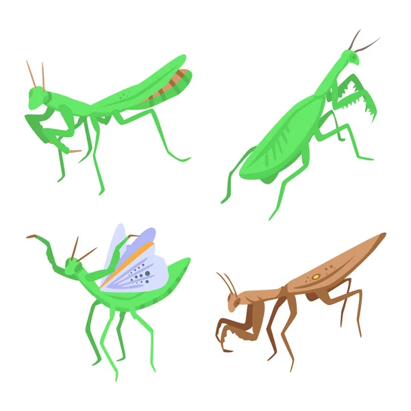 Conjunto de iconos Mantis, estilo isométrico — Vector de stock