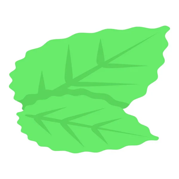 Icono de hojas de mora, estilo isométrico — Archivo Imágenes Vectoriales