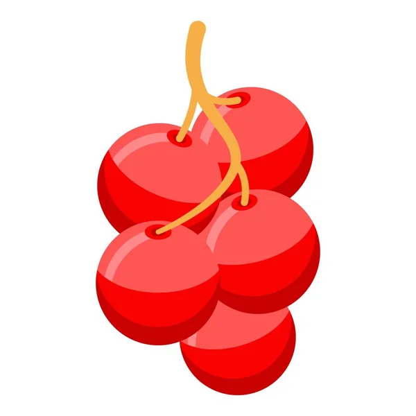 Red berry branch icon, isometric style — Stock Vector