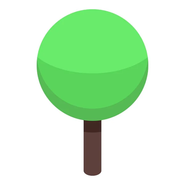 Park träd ikon, isometrisk stil — Stock vektor