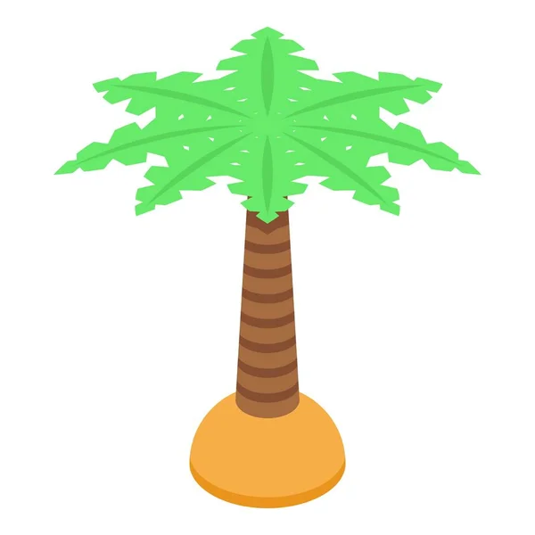 Palm träd ikon, isometrisk stil — Stock vektor