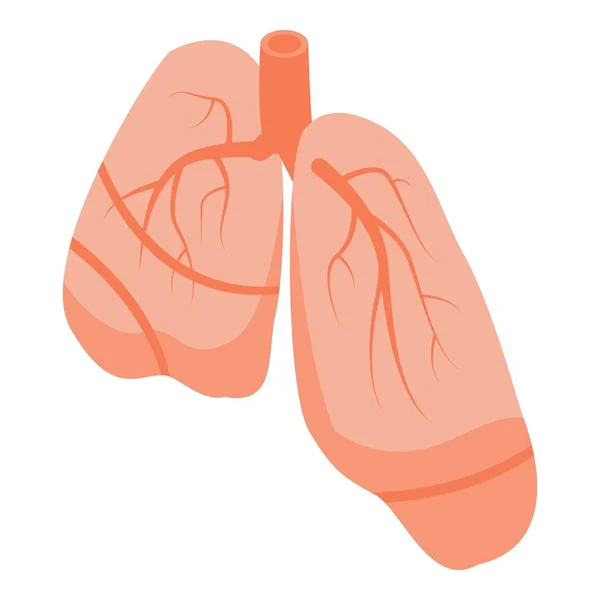 Icono de pulmones humanos, estilo isométrico — Vector de stock