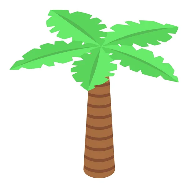 Icono de palmera, estilo isométrico — Vector de stock