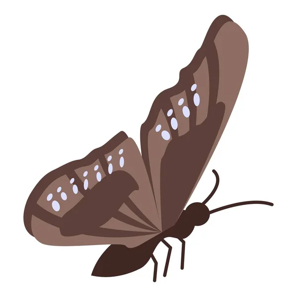 Ícone de borboleta marrom, estilo isométrico —  Vetores de Stock