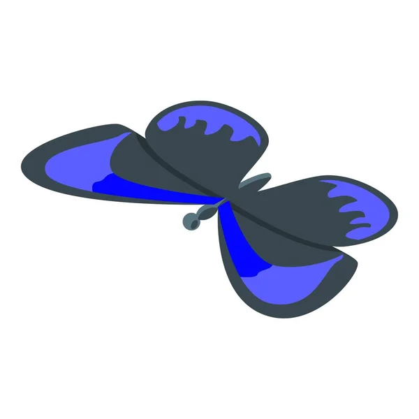 Summer butterfly icon, isometric style — 스톡 벡터