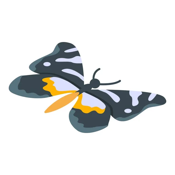 Farbe Farbe Schmetterling Symbol, isometrischen Stil — Stockvektor