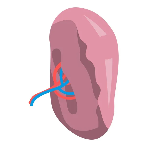 Ikon organ Spleen, gaya isometrik - Stok Vektor