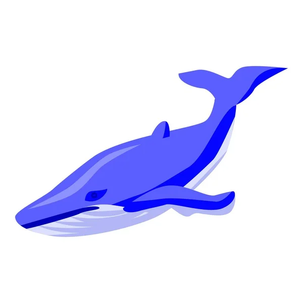 Ícone de baleia azul, estilo isométrico — Vetor de Stock