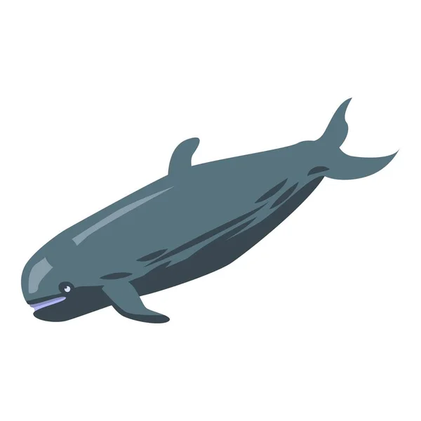 Sperm whale icon, isometric style — Stock Vector