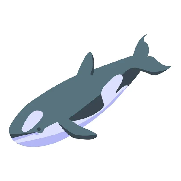 Orca whale icon, isometric style — 스톡 벡터