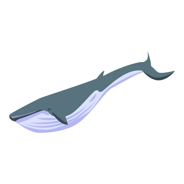 Ícone de baleia oceânica, estilo isométrico — Vetor de Stock