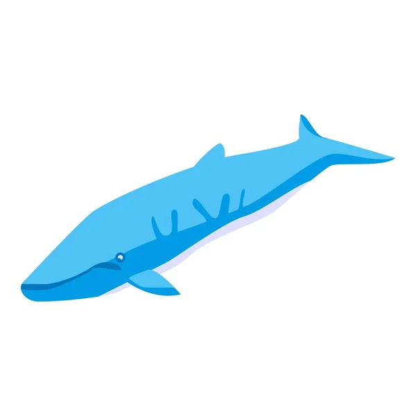 Marine whale icon, isometric style — Stock Vector