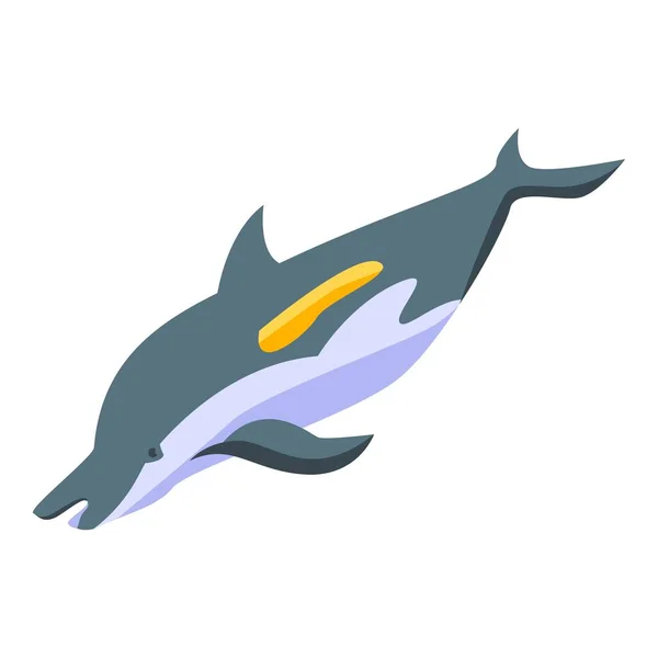 Ícone de baleia golfinha, estilo isométrico — Vetor de Stock