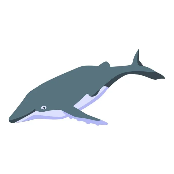 Old whale icon, isometric style — Stock Vector