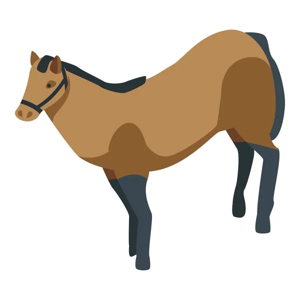 Icono de animal de caballo, estilo isométrico — Archivo Imágenes Vectoriales