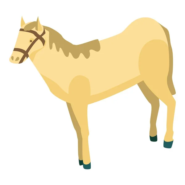 Desert horse icon, isometric style — 스톡 벡터