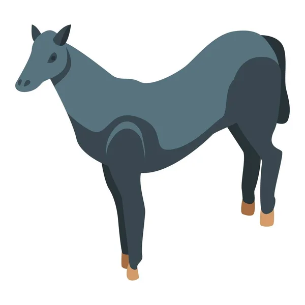 Black young horse icon, isometric style — Stock Vector