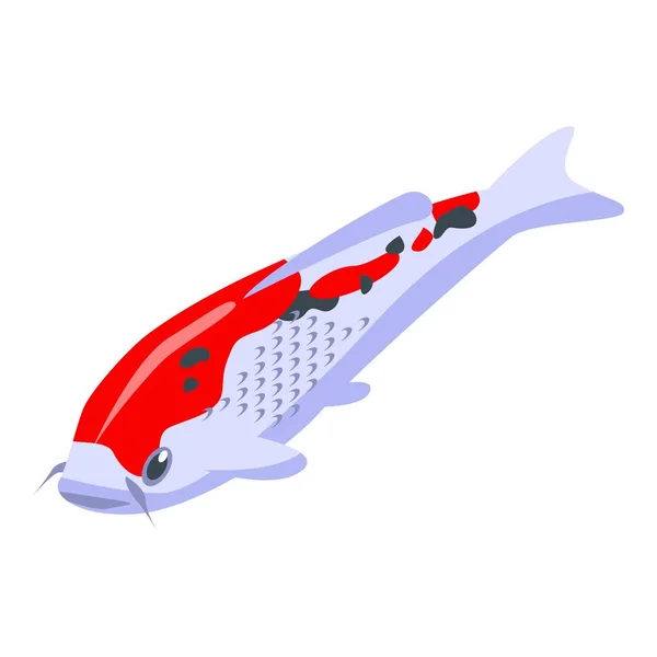 Koi carp fish icon, isometric style — Stock Vector