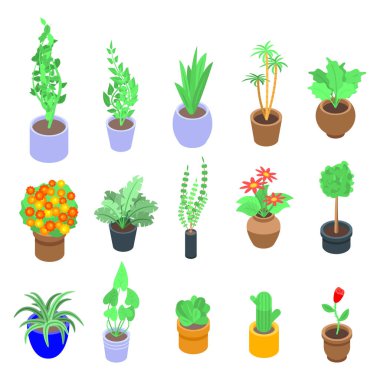 Ev bitkileri simgeleri ayarlandı, izometrik biçim