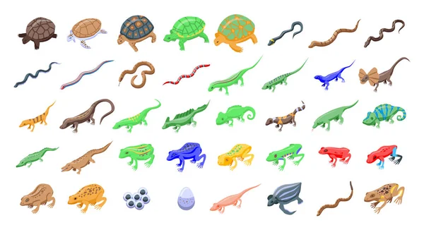 Reptiles and amphibians icons set, isometric style — 스톡 벡터