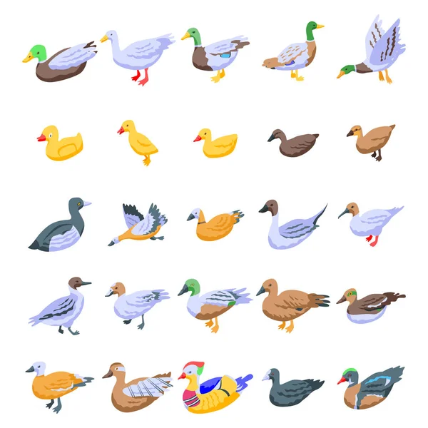 Duck icons set, isometric style — Stock Vector