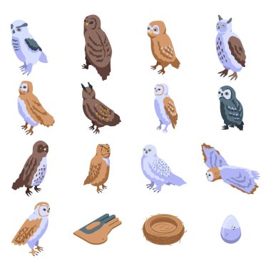 Baykuş simgeleri ayarlandı, izometrik biçim