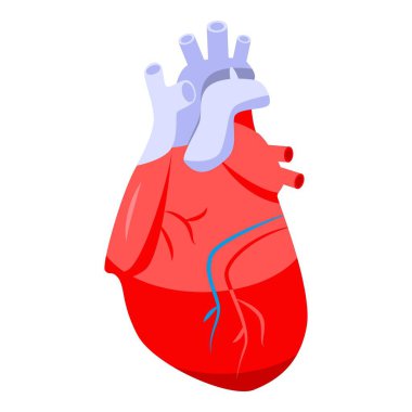 İnsan kalp simgesi, izometrik biçim