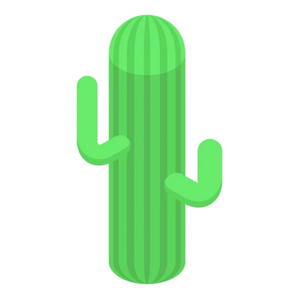 Icône de cactus du désert, style isométrique — Image vectorielle