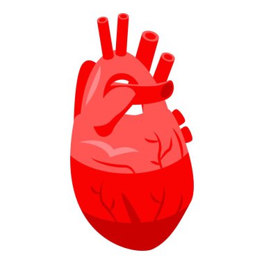 Red human heart icon, isometric style