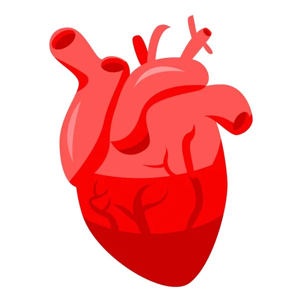 Icona del cuore umano sano, stile isometrico — Vettoriale Stock