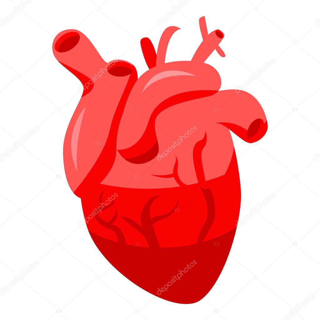 Healthy human heart icon, isometric style