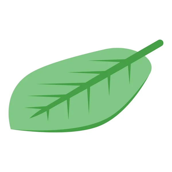 Icono de hoja de cacao, estilo isométrico — Vector de stock