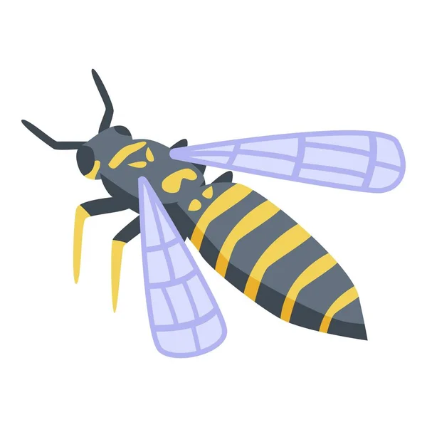 Wasp agression icon, isometric style — Διανυσματικό Αρχείο