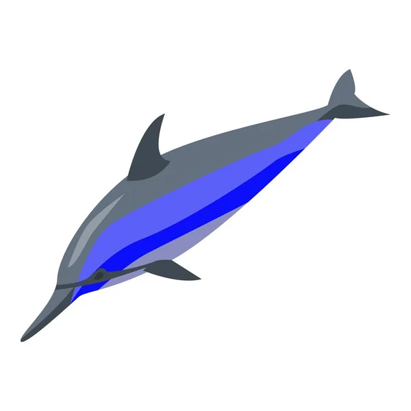 Delfinugrás ikon, izometrikus stílus — Stock Vector