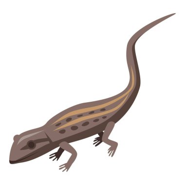 Kahverengi kertenkele simgesi, izometrik biçim