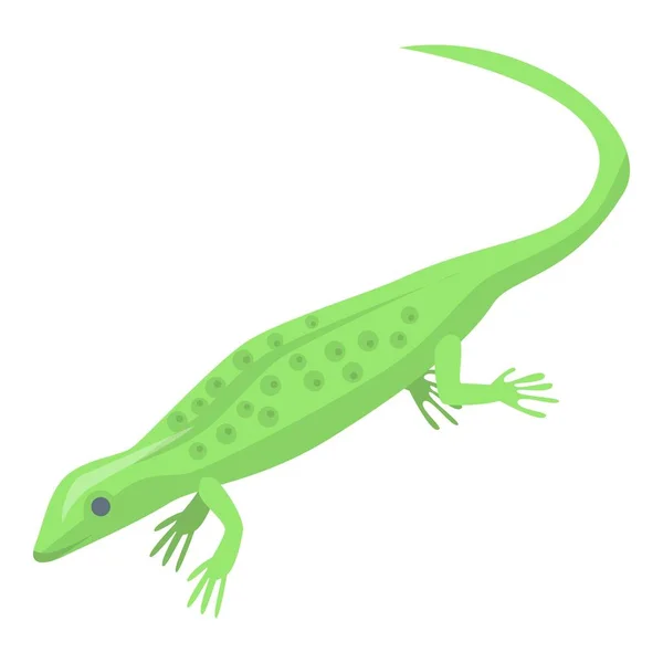 Magic green lizard icon, isometric style — Stock Vector