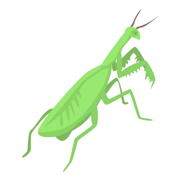 Female mantis icon, isometric style — Stock Vector