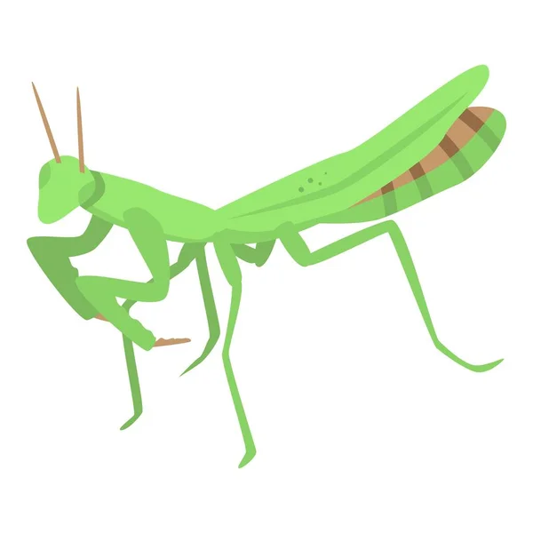 Green mantis icon, isometric style — Stock Vector