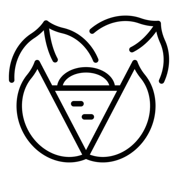 Detox food icon, outline style — Stockový vektor