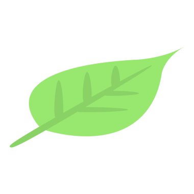 Carambola yaprak simgesi, izometrik biçim