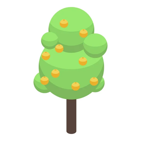 Aprikos träd ikon, isometrisk stil — Stock vektor