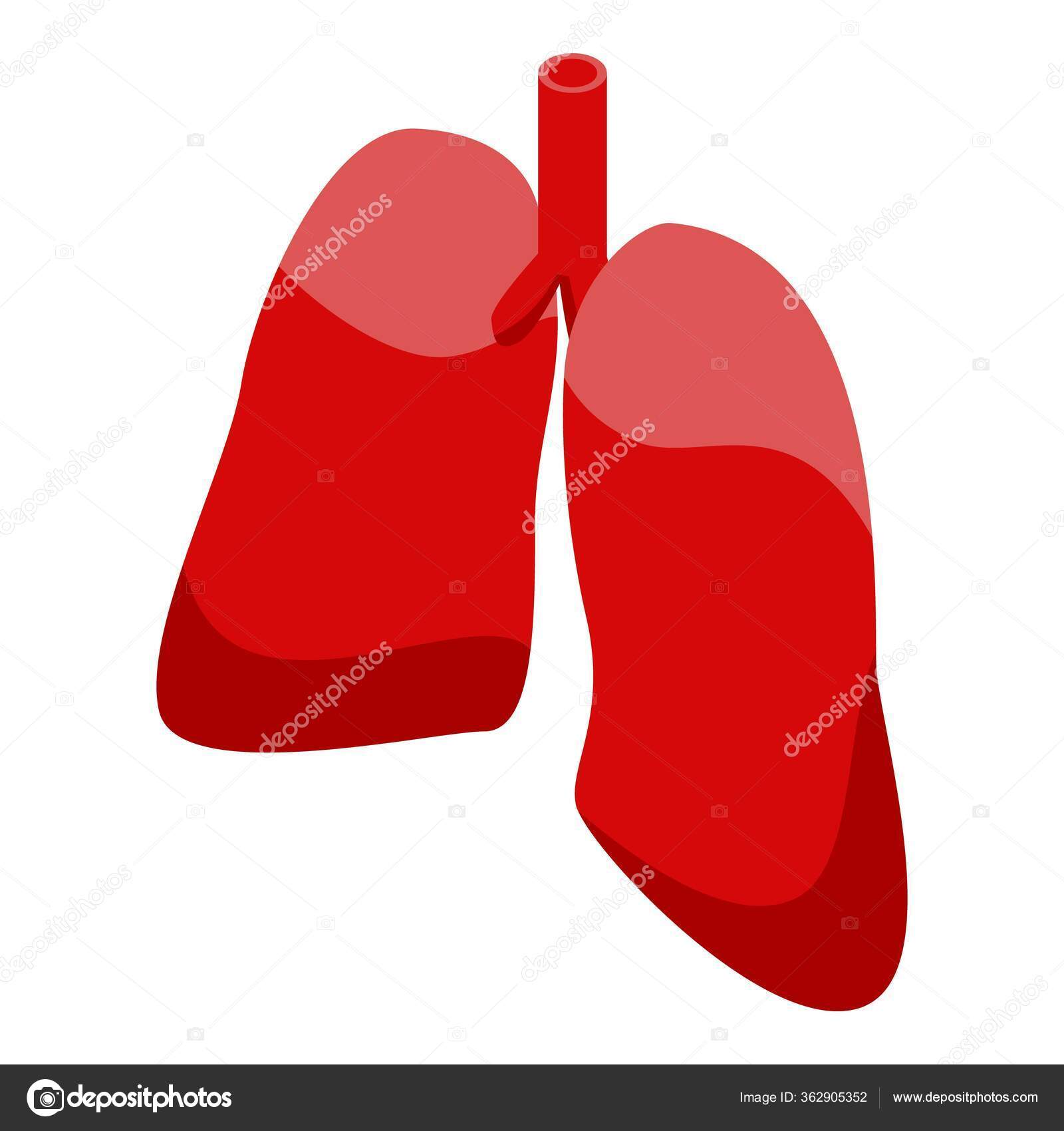 Doar Orgaos Pulmao Icone Estilo Isometrico Vetor De Stock C Ylivdesign 362905352