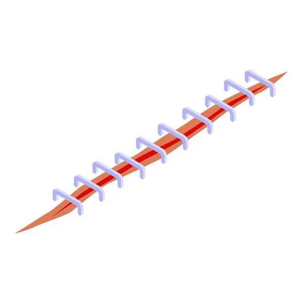 Naaldhechtdraad icoon, isometrische stijl — Stockvector