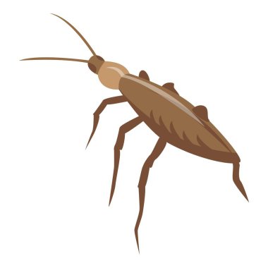 Hamamböceği simgesi, izometrik stil