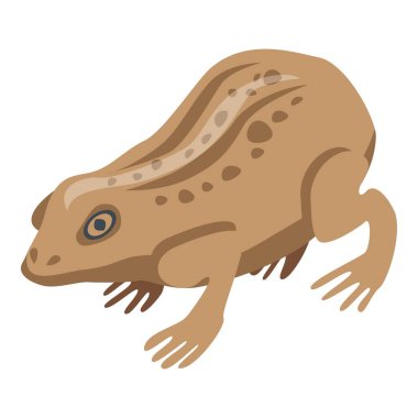 Alan kurbağa simgesi, izometrik biçim