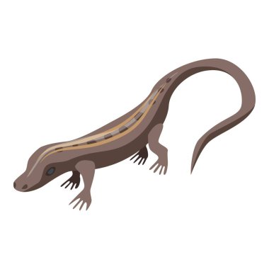 Kahverengi kertenkele simgesi, izometrik biçim