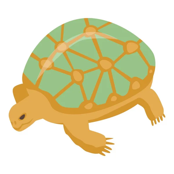 Ícone de tartaruga velha, estilo isométrico — Vetor de Stock