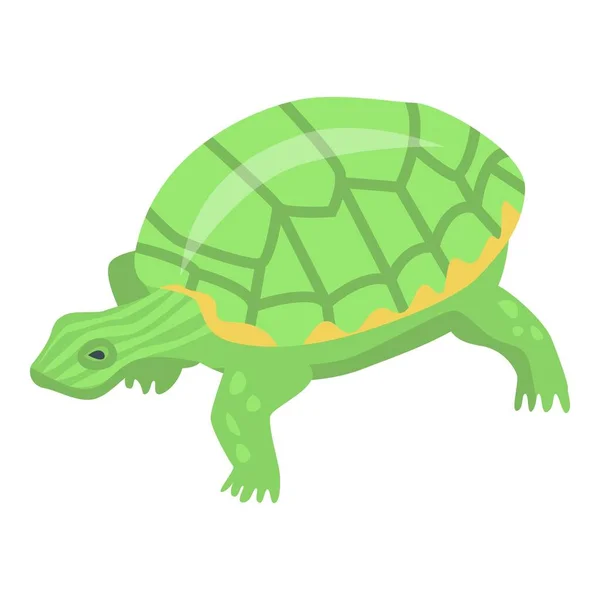 Icono de tortuga verde, estilo isométrico — Vector de stock