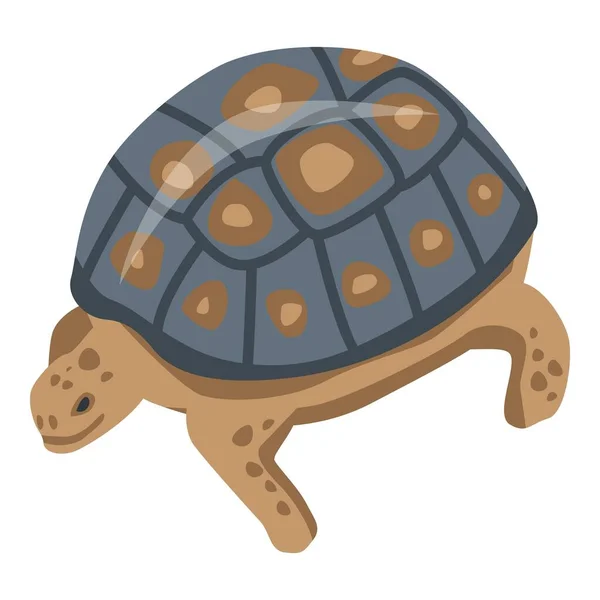 Ícone de tartaruga réptil tropical, estilo isométrico — Vetor de Stock